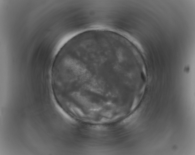 X0000092021239200709201545