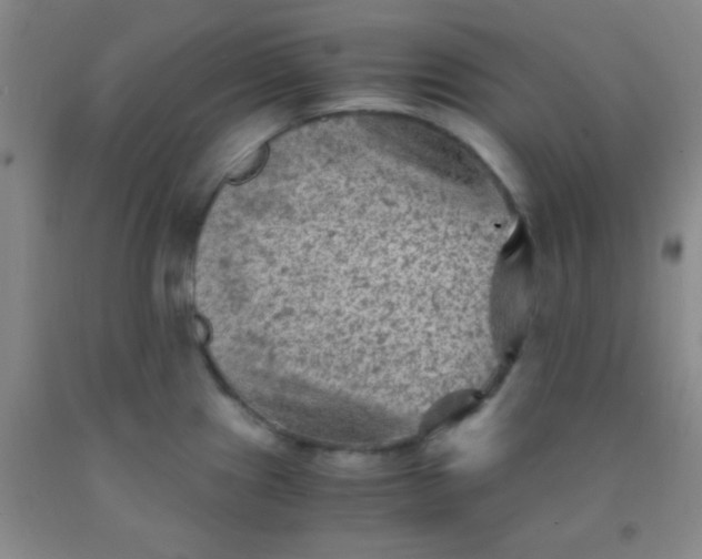 X0000092021241200709201545