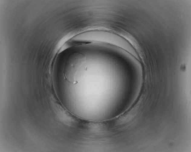 X0000092021242200709201545