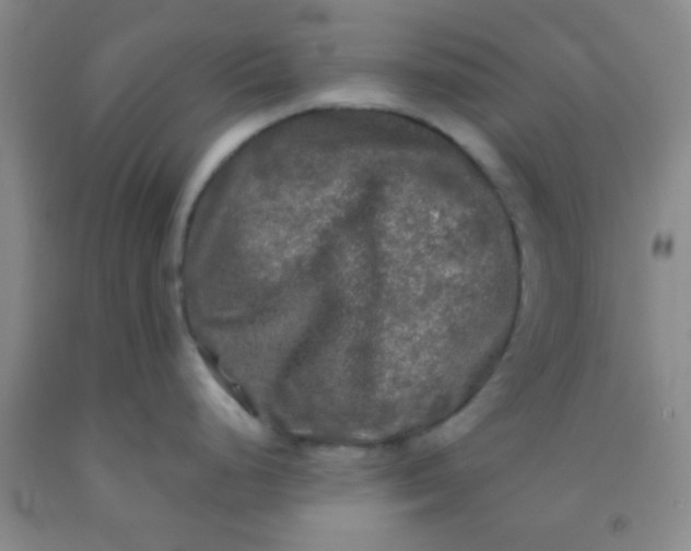 X0000092021248200709201545