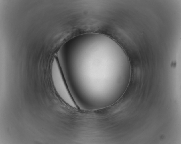 X0000092021250200709201545