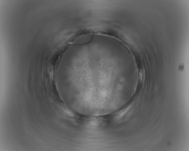 X0000092021251200709201545