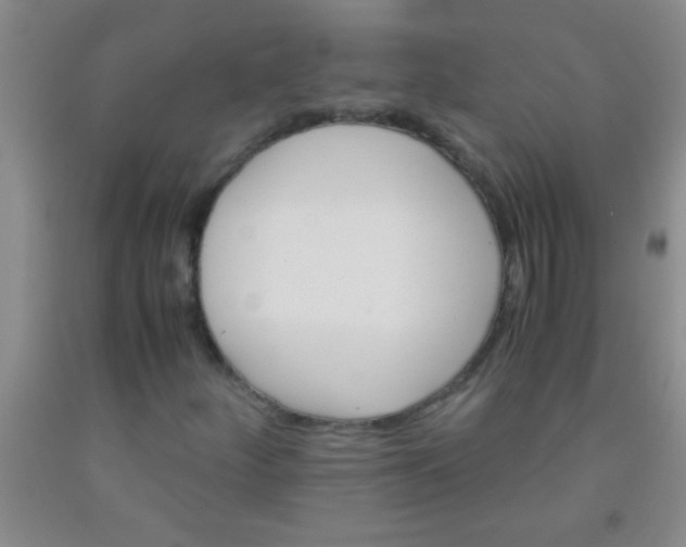 X0000092021252200709201545