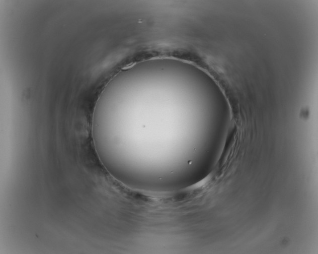 X0000092021253200709201545