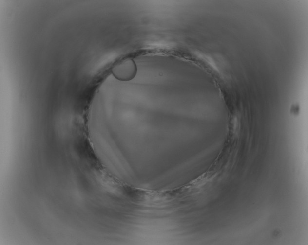 X0000092021254200709201545