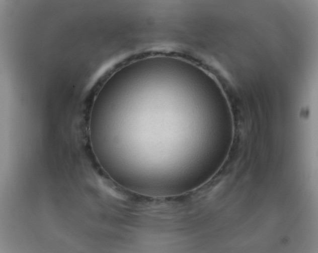 X0000092021256200709201545