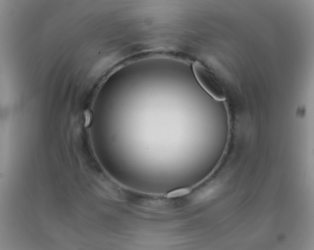 X0000092021257200709201545