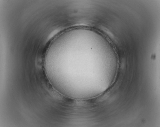 X0000092021258200709201545