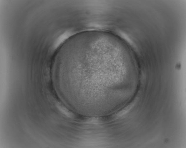 X0000092021259200709201545