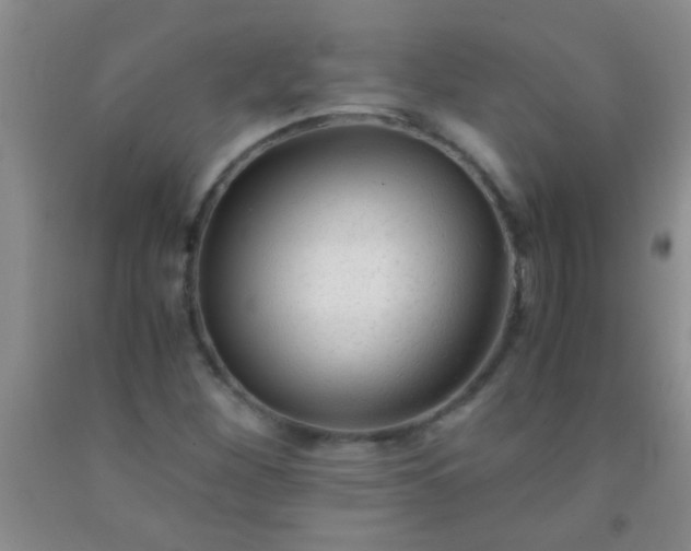 X0000092021260200709201545