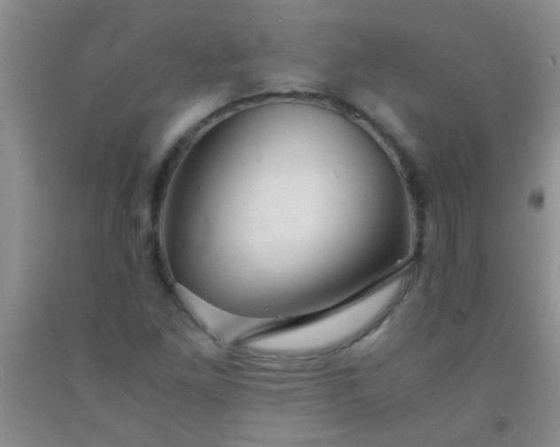 X0000092021261200709201545