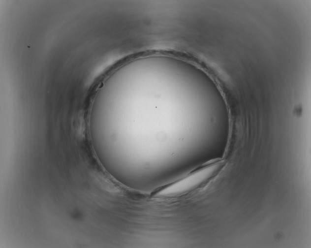 X0000092021262200709201545