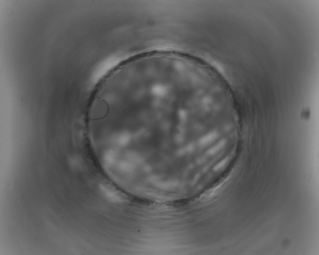 X0000092021263200709201545