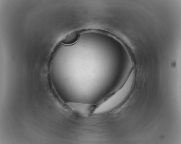 X0000092021264200709201544