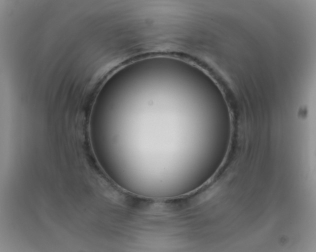 X0000092021265200709201544