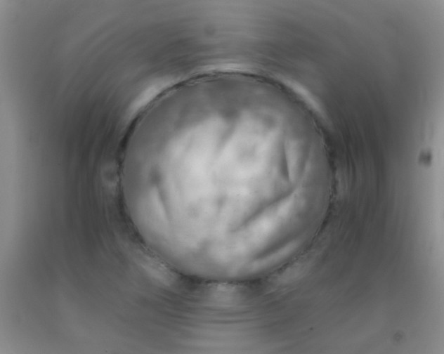 X0000092021266200709201544