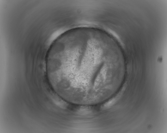 X0000092021267200709201544