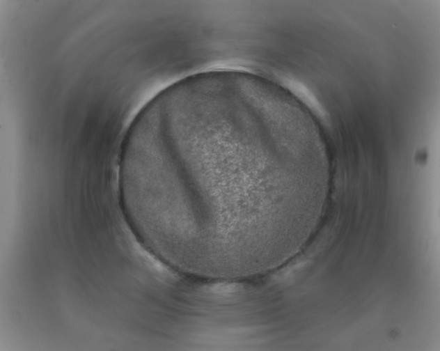 X0000092021268200709201544