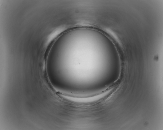 X0000092021269200709201544