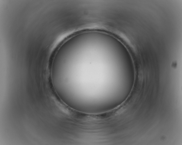 X0000092021270200709201544