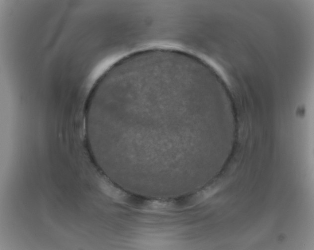 X0000092021271200709201544