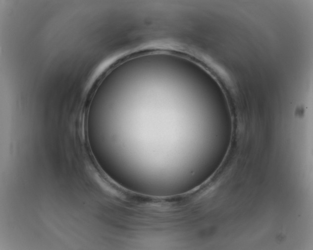 X0000092021272200709201544