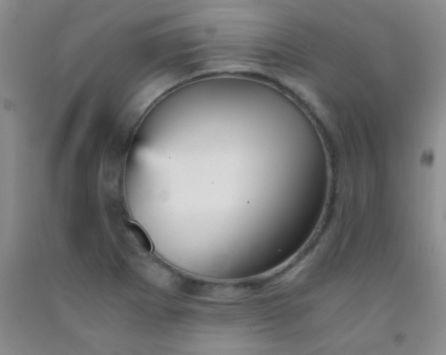 X0000092021273200709201544