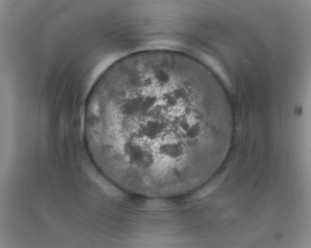 X0000092021275200709201544