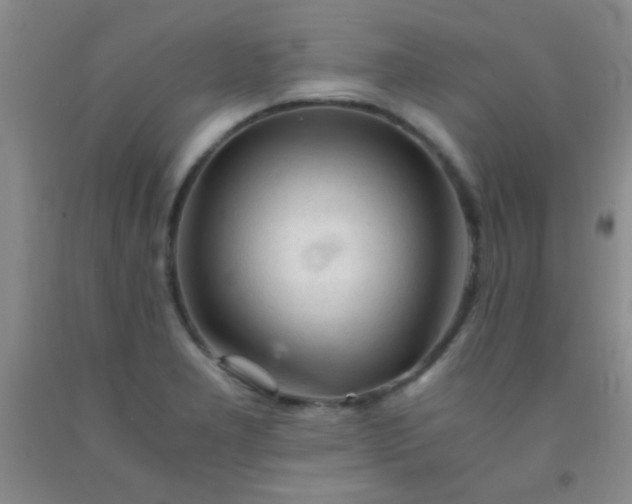 X0000092021277200709201544