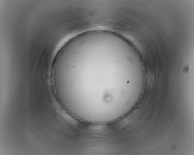 X0000092021278200709201544