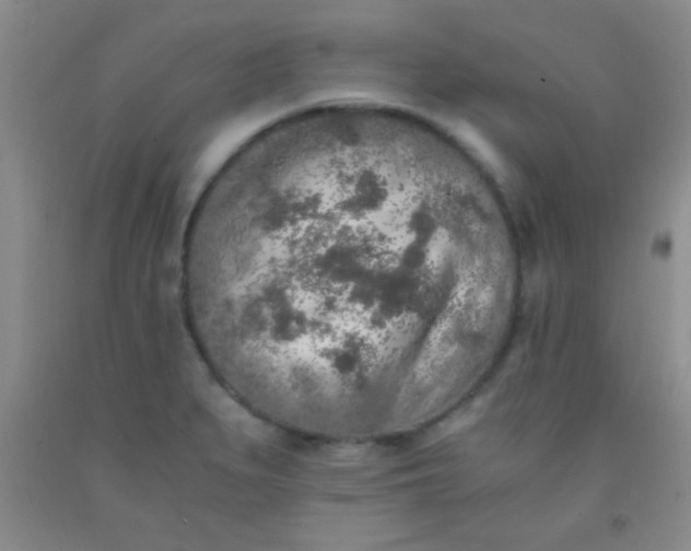 X0000092021279200709201544