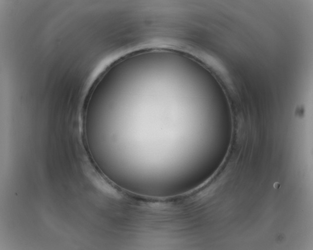 X0000092021280200709201544