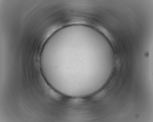 X0000092021282200709201544