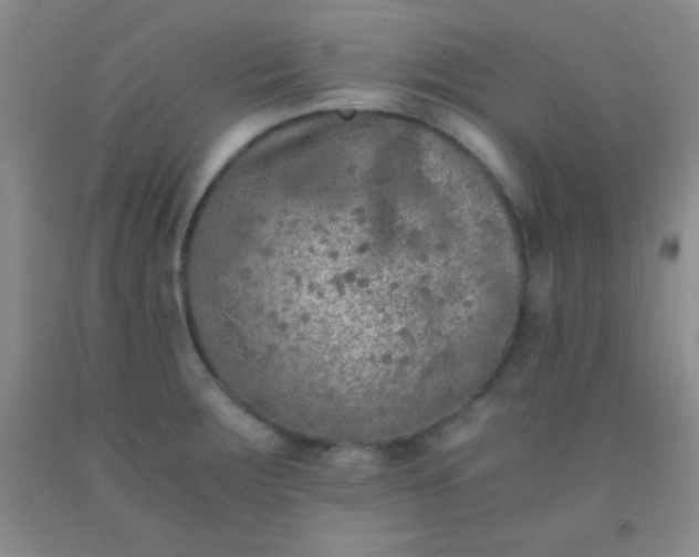 X0000092021283200709201544