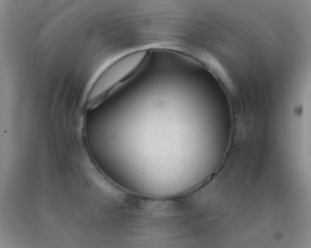 X0000092021284200709201544