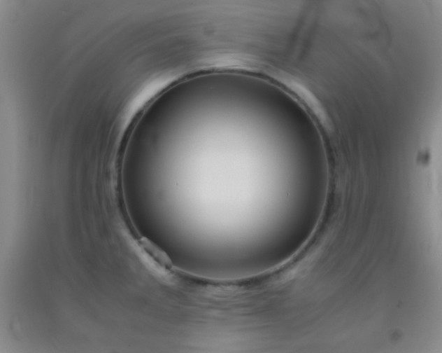 X0000092021285200709201544