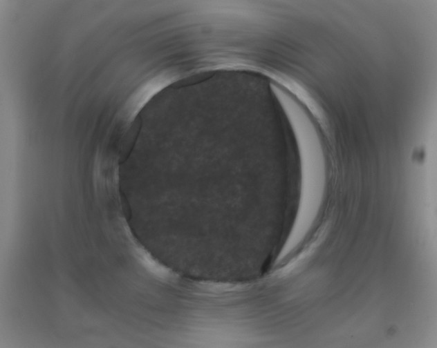 X0000092021289200709201544