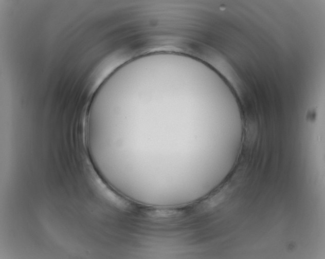 X0000092021290200709201544