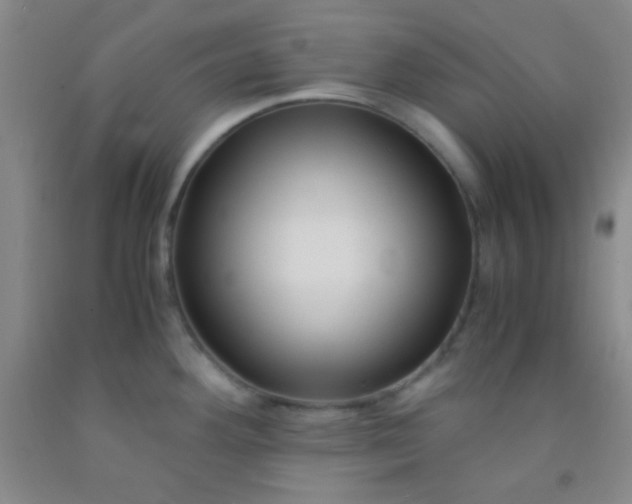 X0000092021292200709201544