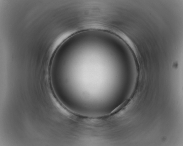 X0000092021293200709201544