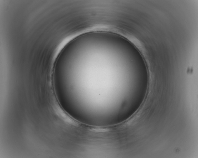 X0000092021296200709201544