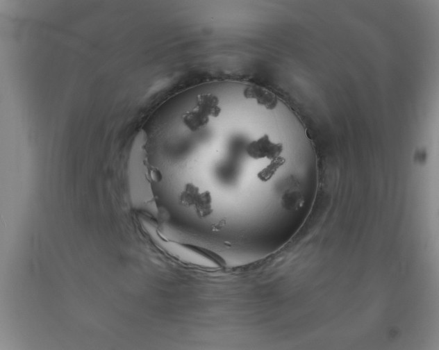 X0000092021297200709201544