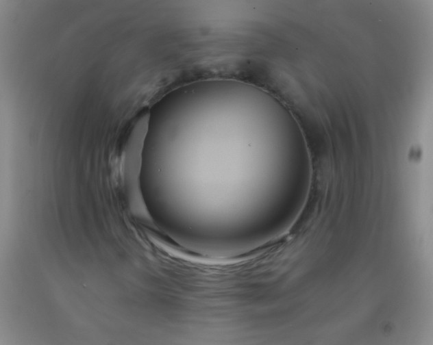 X0000092021298200709201544