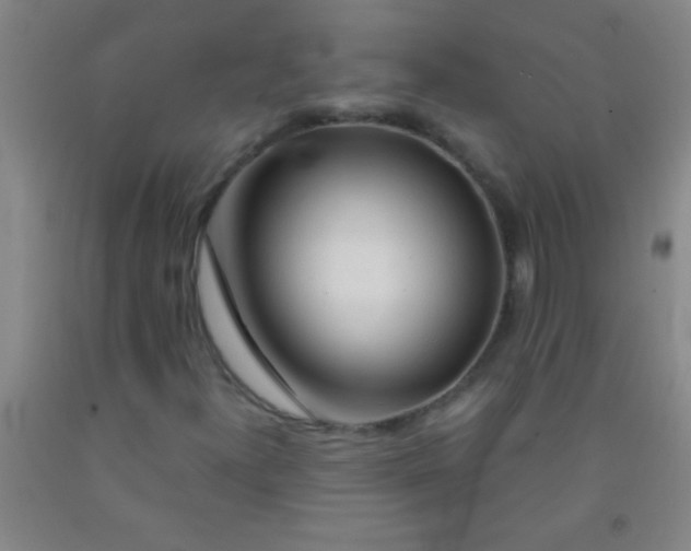 X0000092021300200709201544