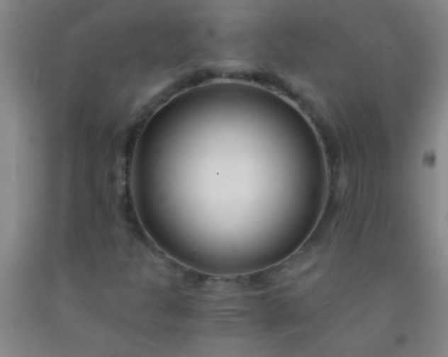 X0000092021301200709201544