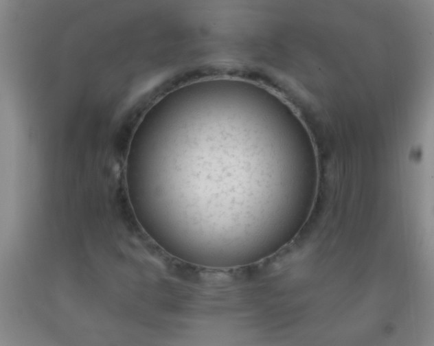 X0000092021302200709201544