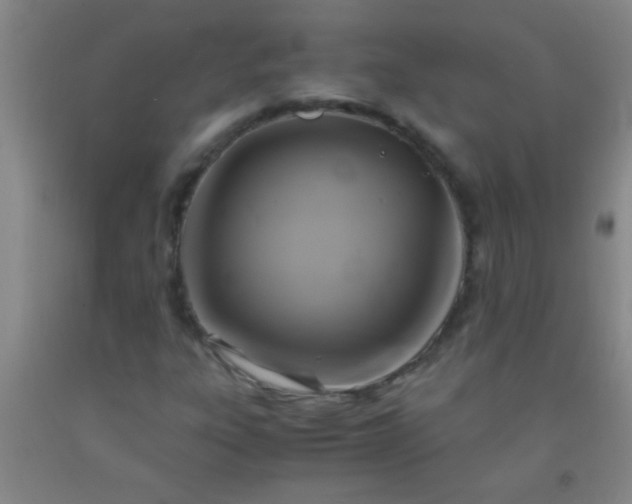 X0000092021303200709201544