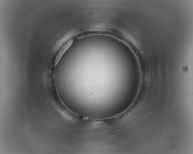 X0000092021304200709201544