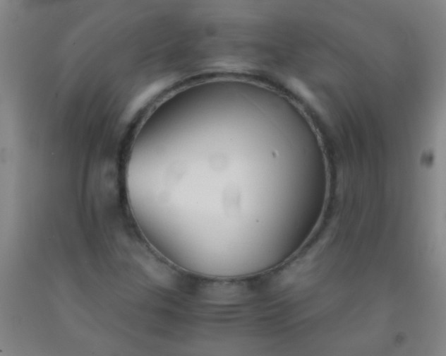 X0000092021307200709201544