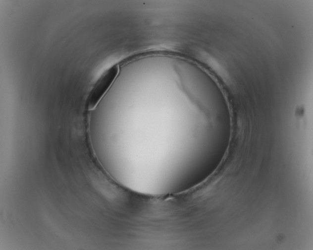 X0000092021308200709201544